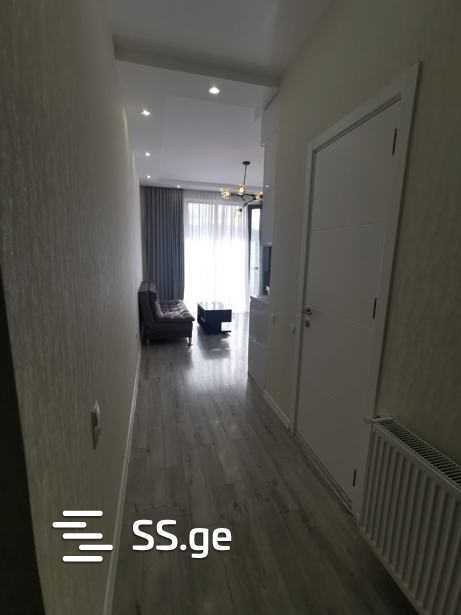https://static.ss.ge/20260121/10_593e6508-f4d6-414b-9a94-d96769ecd90b_Thumb.jpg