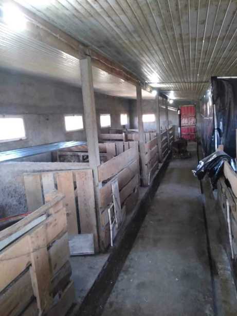 Store-Industrial property For Sale. Kurdghelauri