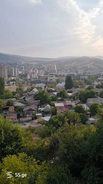 https://static.ss.ge/20260121/14_0af2f26c-fd9a-40e0-9a4a-9625dfd20fa0_Thumb.jpg