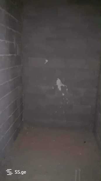 https://static.ss.ge/20260121/3_a635ab62-5023-411e-895a-7cef311b5914_Thumb.jpg