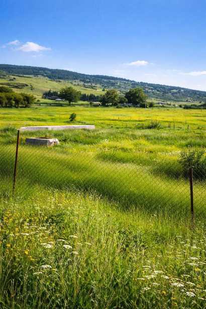 Land For Sale. Zemo Teleti