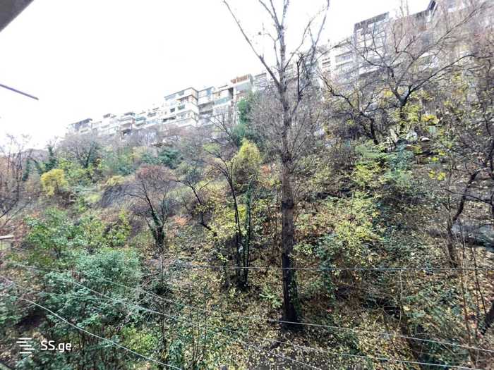 https://static.ss.ge/20260122/10_7bd619f5-c0d9-44d2-8ffc-526c4883d91a_Thumb.jpg