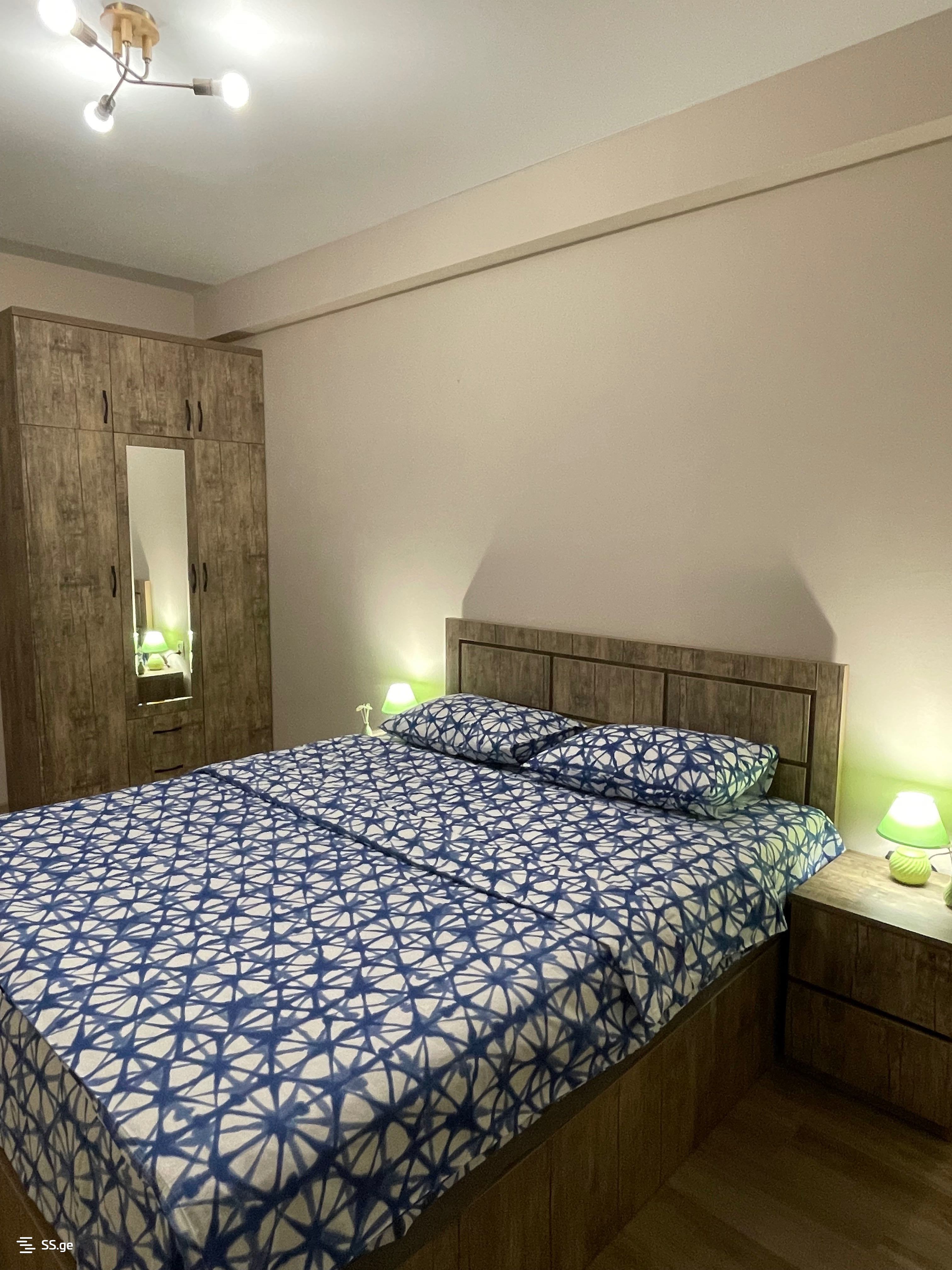 1 room Flat Daily rent. Didi digomi - Ansicht 5