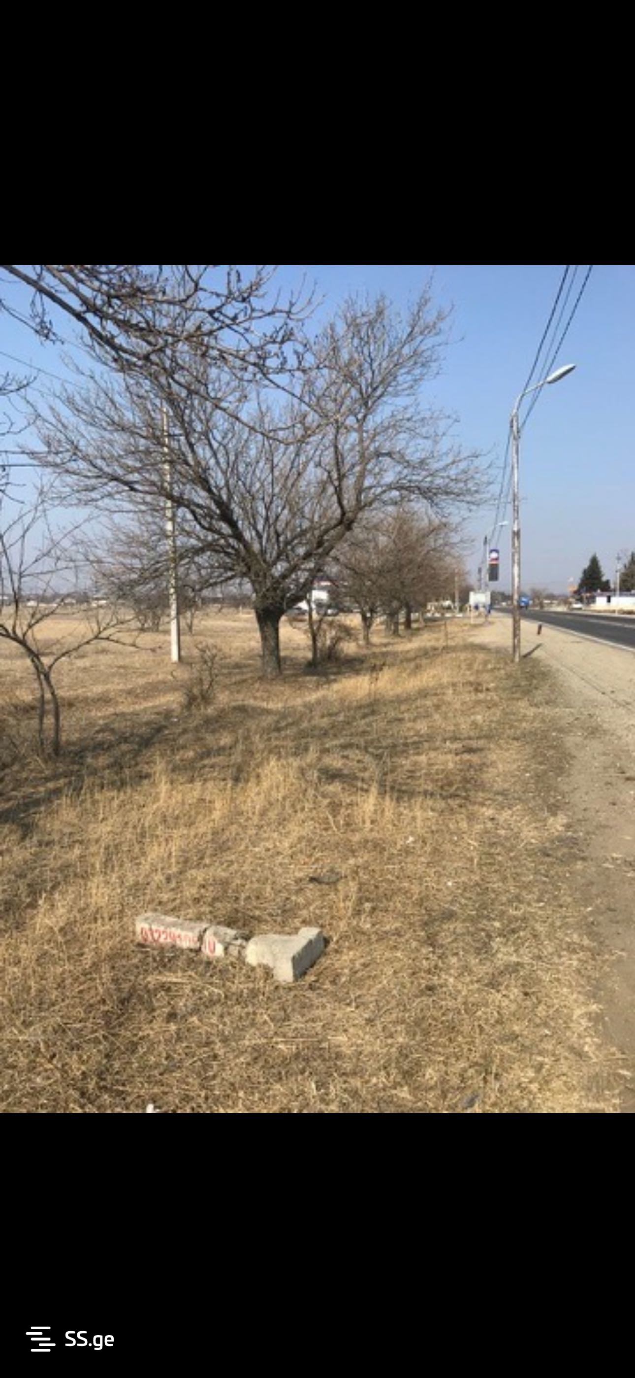 Land For Rent. Koda view 4