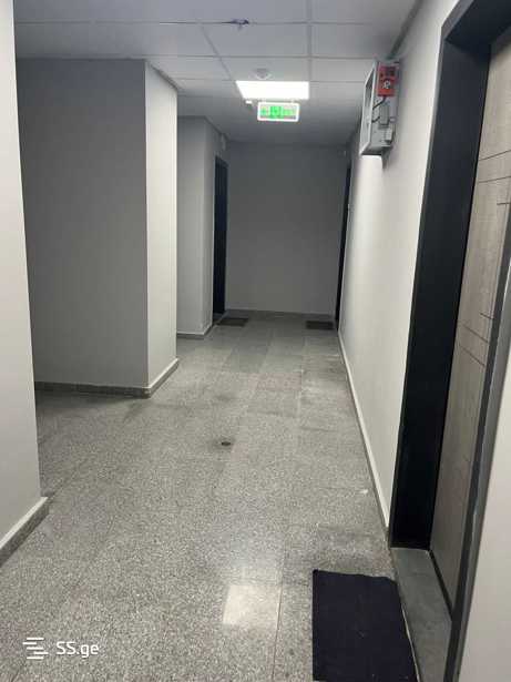 https://static.ss.ge/20260122/16_2242a779-dc5b-4dbf-81f9-b3c2e0118684_Thumb.jpg