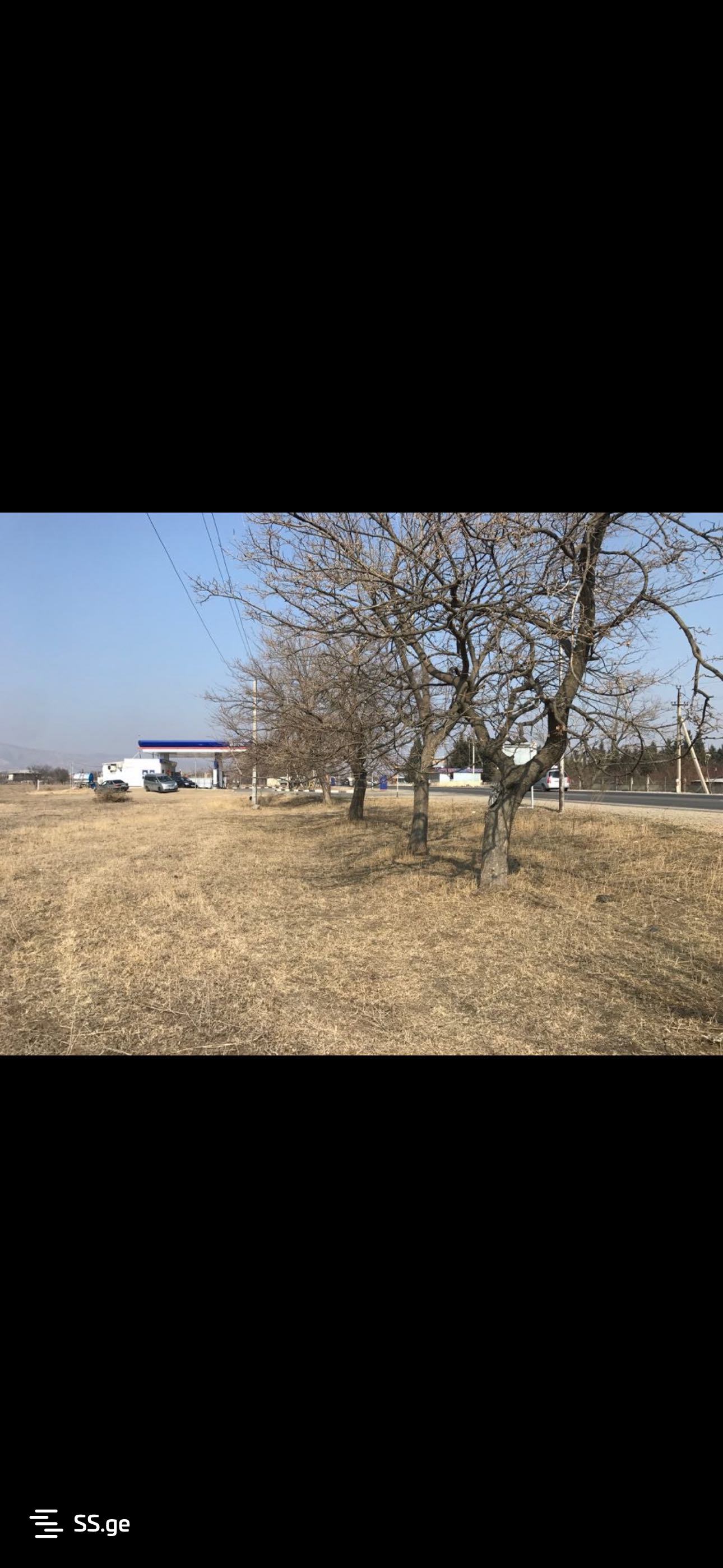 Land For Rent. Koda view 3