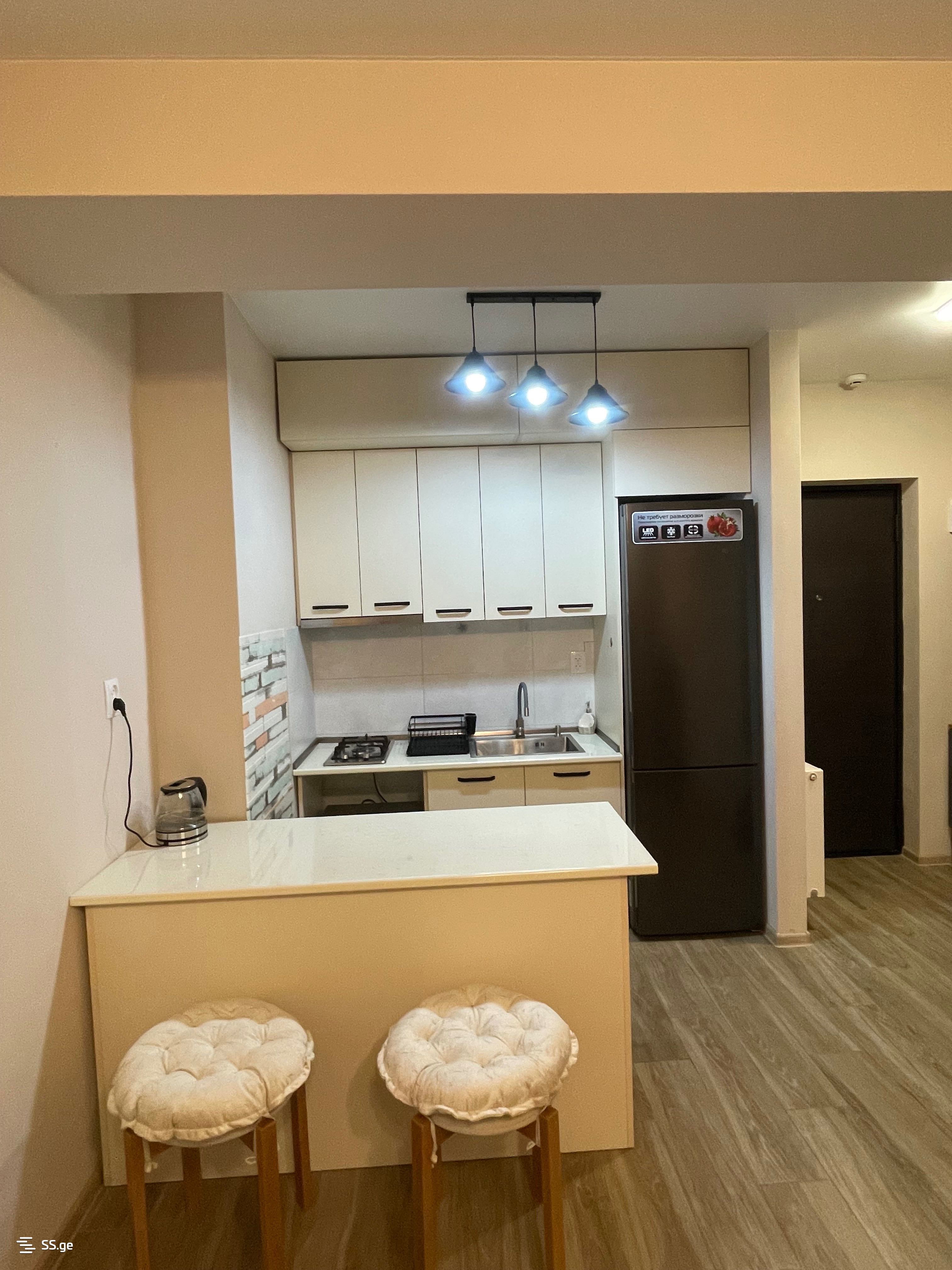 1 room Flat Daily rent. Didi digomi - Ansicht 3