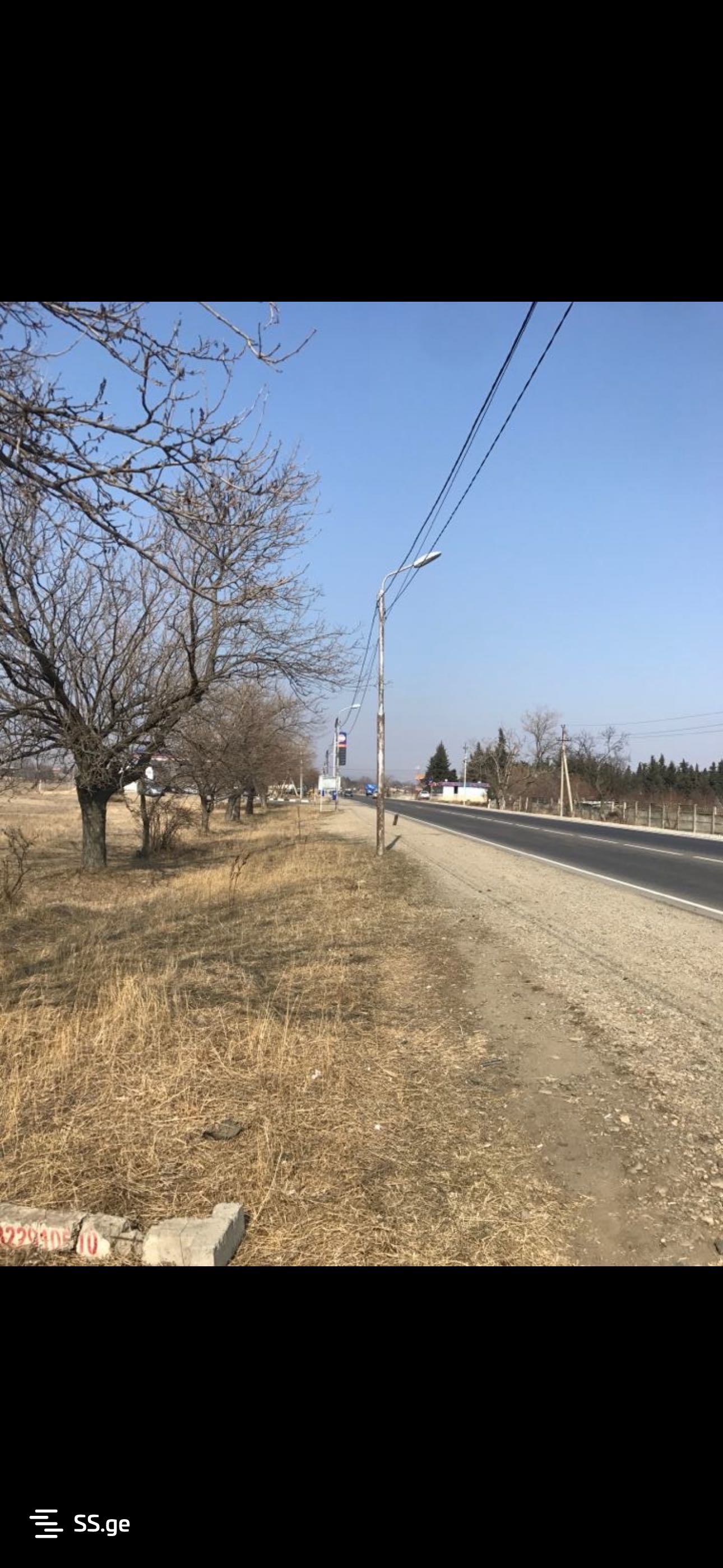 Land For Rent. Koda view 6