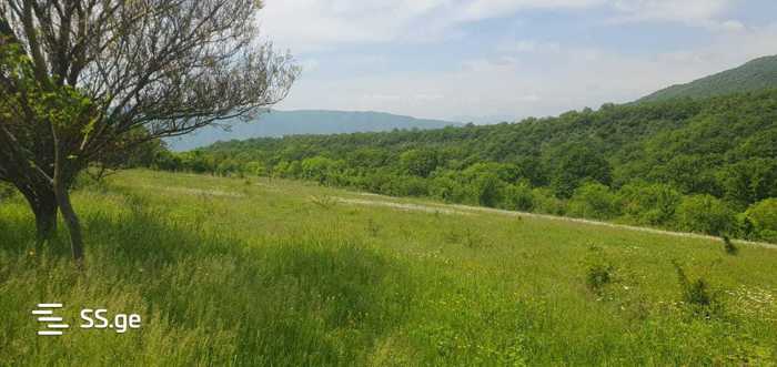 Land For Sale. Agaraki