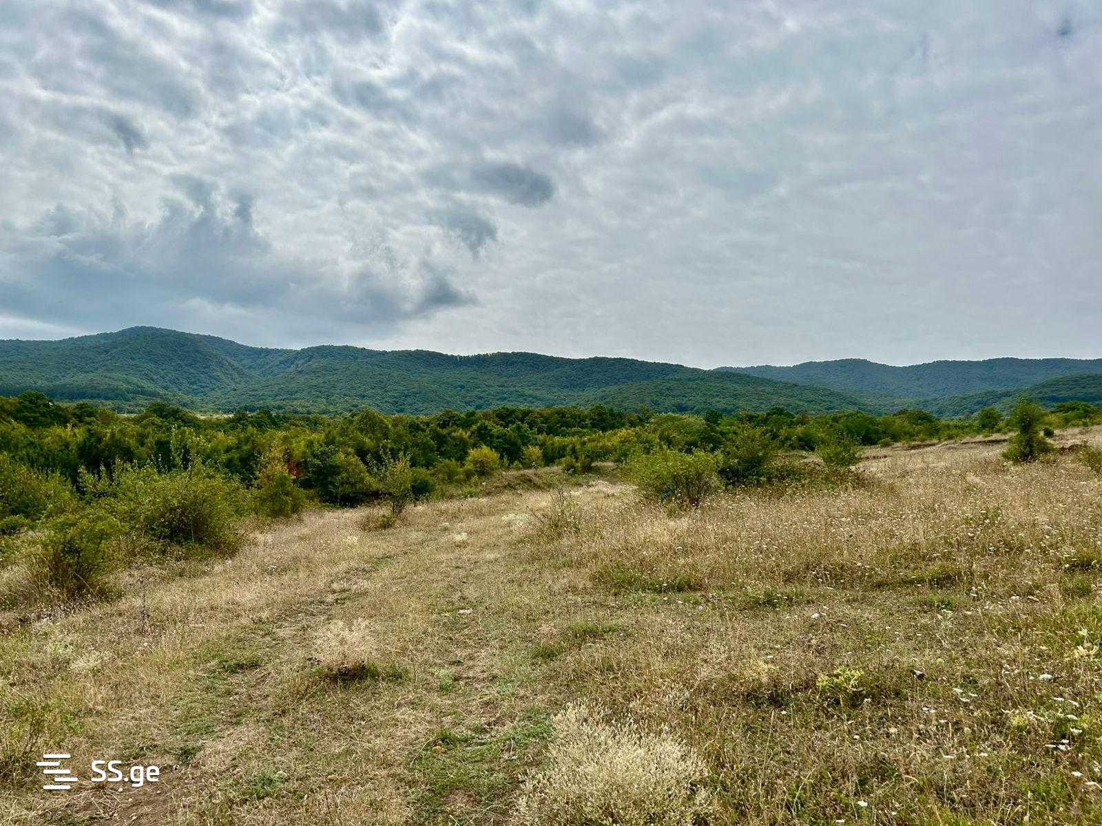 Land For Sale. Navdaraantkari view 15
