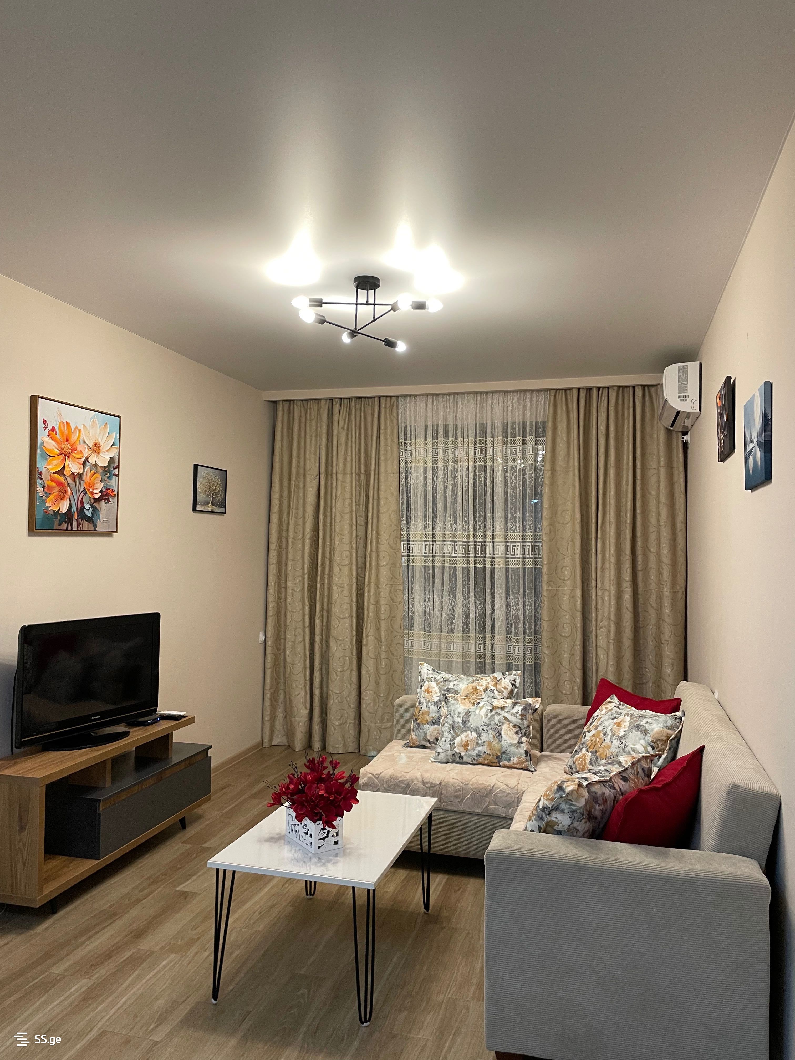 1 room Flat Daily rent. Didi digomi - Ansicht 2
