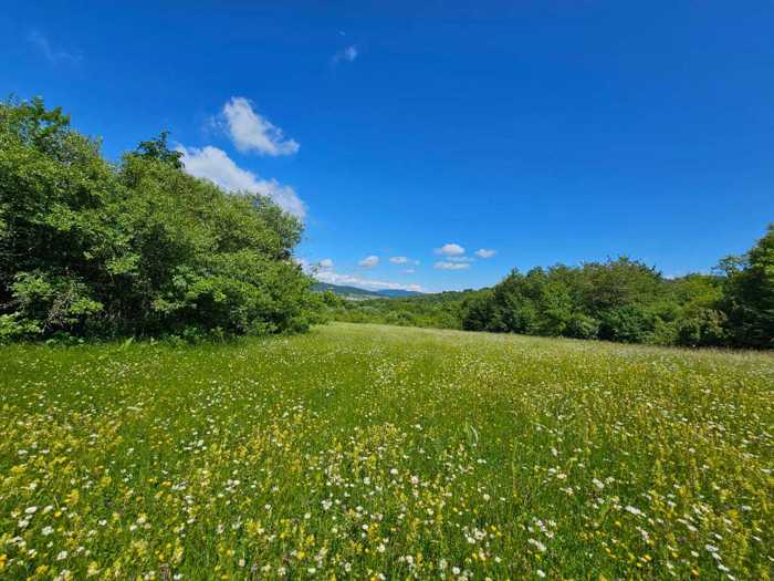 Land For Sale. Tianeti