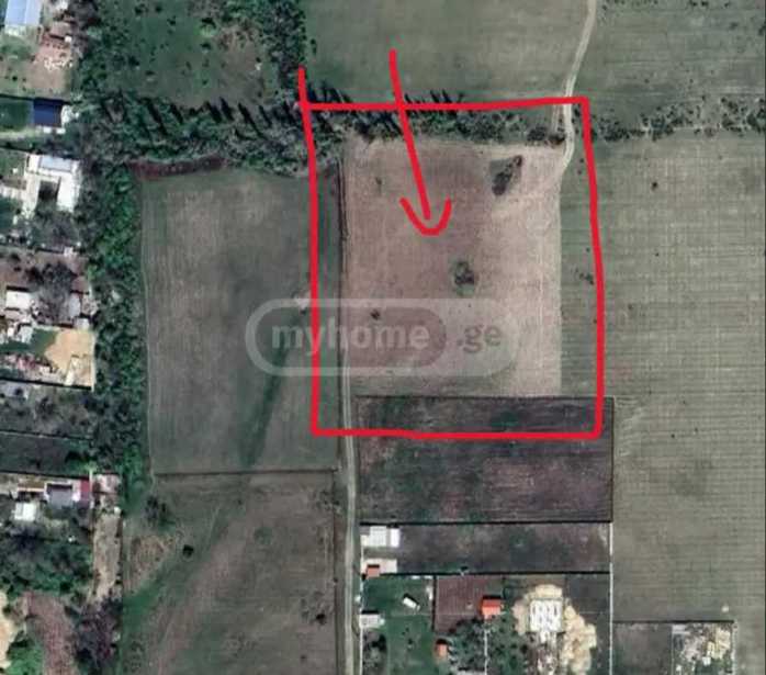 https://static.ss.ge/20260125/18_3ea41bd2-90e5-4e7c-ac58-aaaa43065a7a_Thumb.jpg