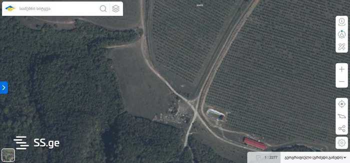 https://static.ss.ge/20260126/0_e4f6c068-5be5-4cd9-821b-64073281e8e1_Thumb.jpg