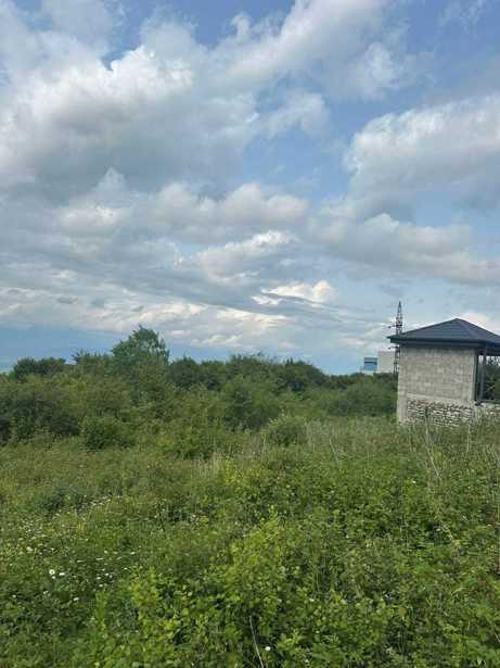 Land For Sale. Telavi
