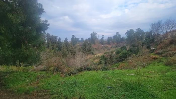 Land For Sale. Tsikhisdziri