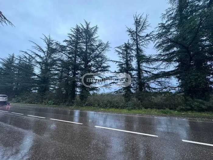 Land For Sale. Partskhanakanevi