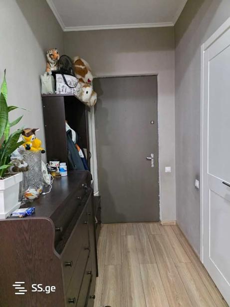 https://static.ss.ge/20260126/19_17af09d6-438f-4cfe-bdcb-0a696bace931_Thumb.jpg