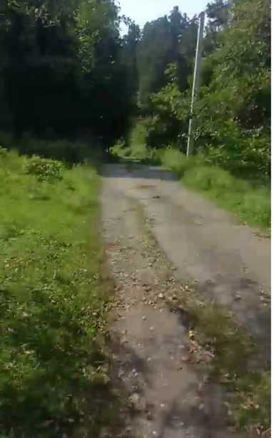 Land For Sale. Ureki