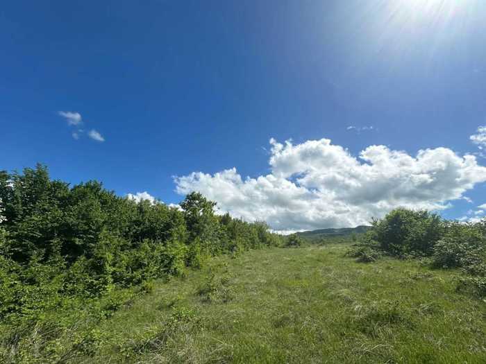 Land For Sale. Vardisubani