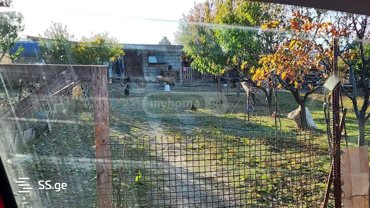 Private House For Sale. Tserovani view 7