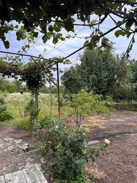 4 room Private House For Sale. Ruispiri