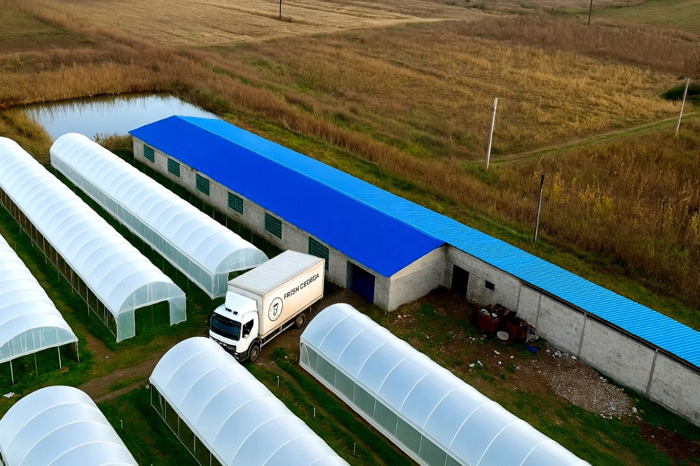 Commercial space For Sale. Baghdati