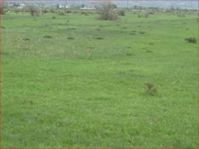 Land For Sale. Tserovani