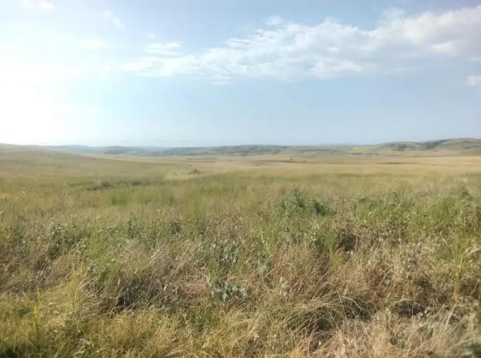 Land For Sale. Bodbiskhevi