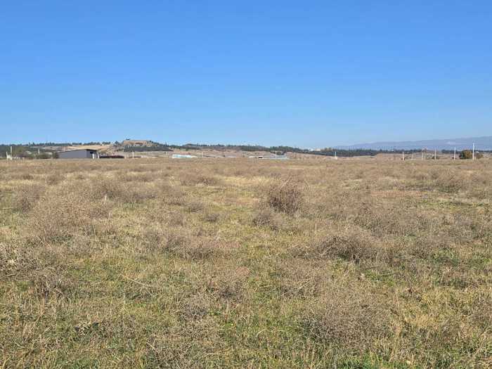 Land For Sale. Kvemo Teleti
