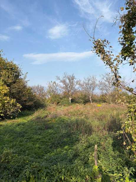 Land For Sale. Kurdghelauri