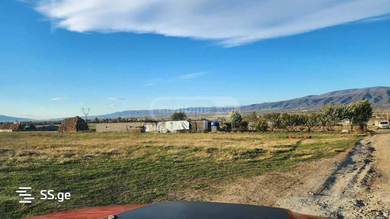 Private House For Sale. Tserovani view 4
