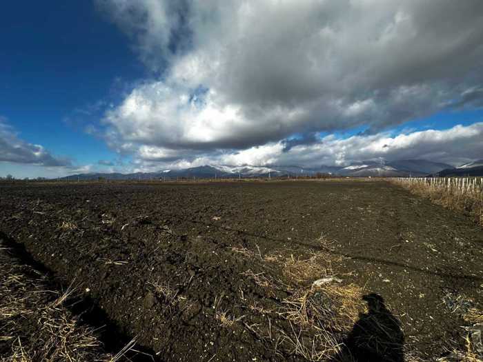 Land For Sale. Akhalsopeli