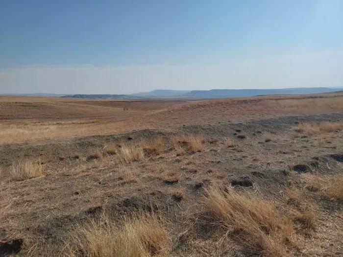 Land For Sale. Zemo Machkhaani