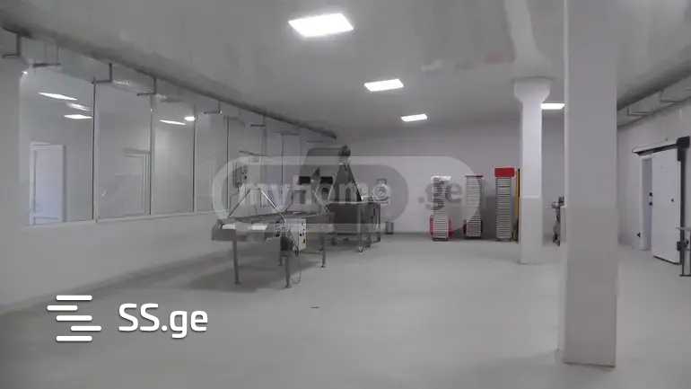 Store-Industrial Property For Sale. Samtredia view 2