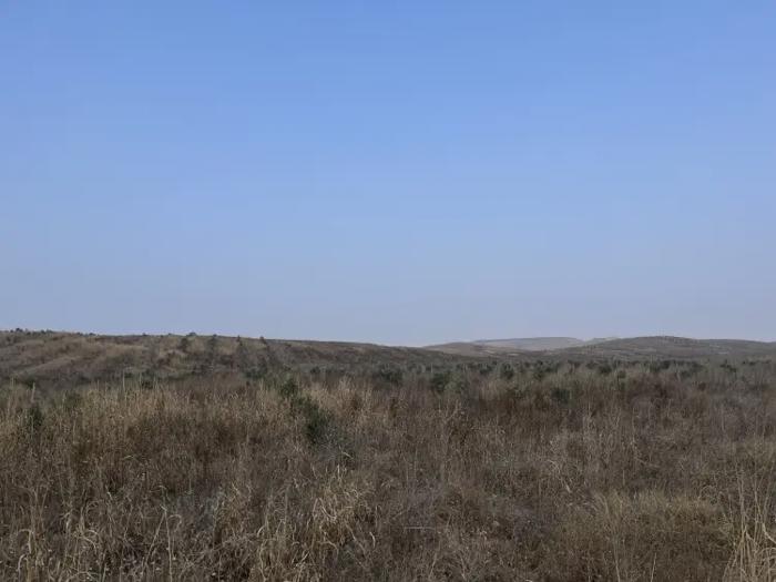 Land For Sale. Dedoplistskaro