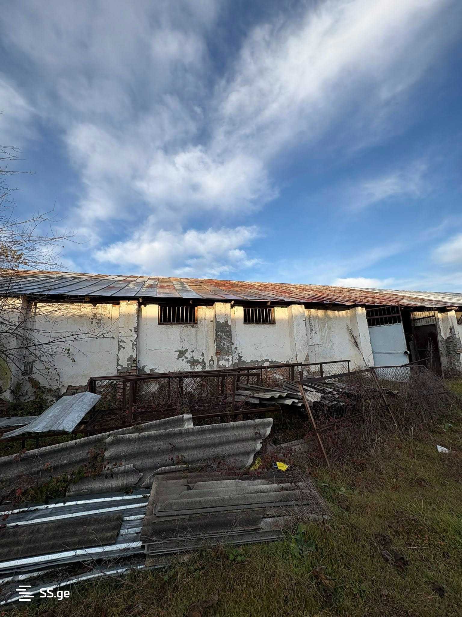 Commercial Real Estate For Sale. Telavi, 3 of 4