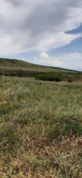 Land For Sale. Tabakhmela