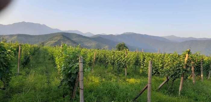 Land For Sale. Shilda