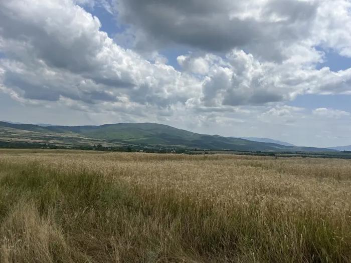 Land For Sale. Kvemo Shuakhevi