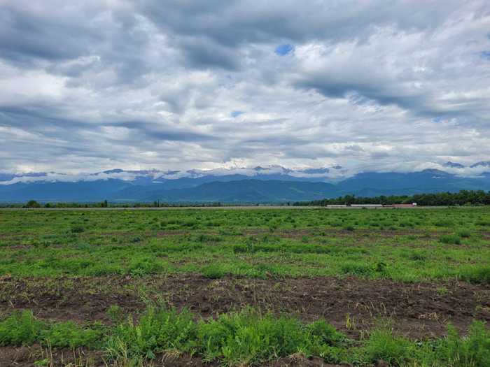 Land For Sale. Kisiskhevi