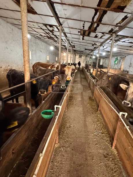 Commercial space For Sale. Kavtiskhevi