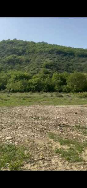 https://static.ss.ge/20260127/4_d5036d90-04fc-47d7-898c-001431790291_Thumb.jpg