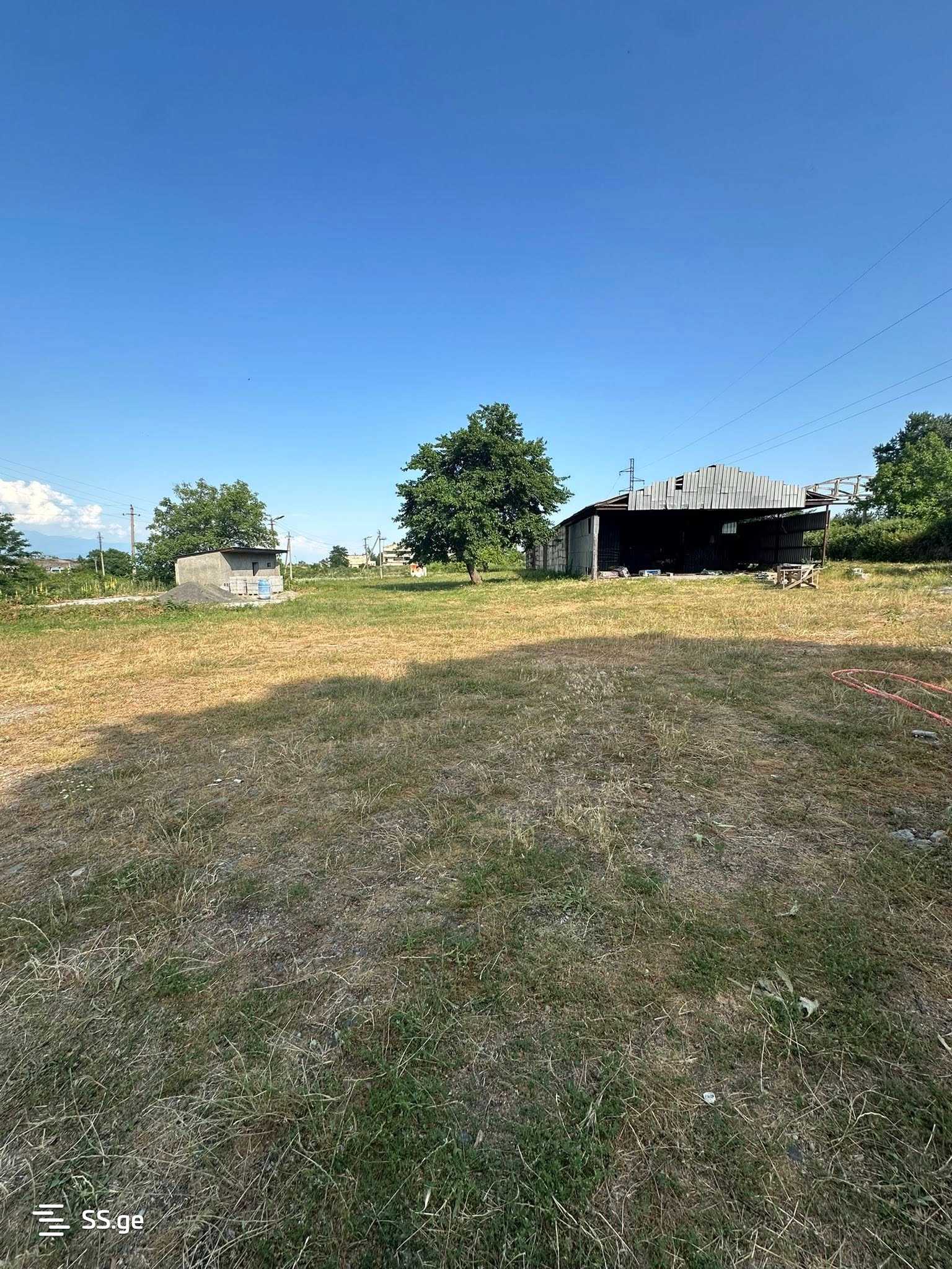 Commercial Space For Sale. Telavi, 4 of 4
