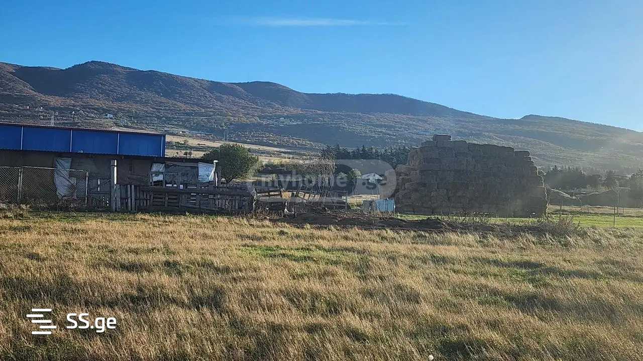Private House For Sale. Tserovani view 3