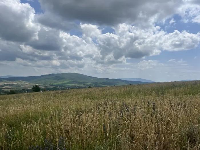 Land For Sale. Kvemo Shuakhevi