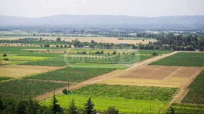 Land For Sale. Natakhtari