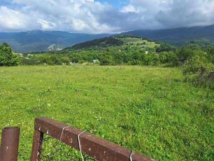 Land For Sale. Telavi