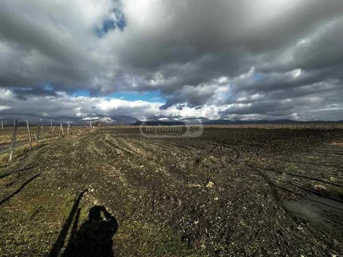 Land For Sale. Akhalsopeli