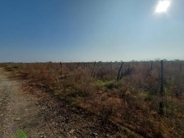 Land For Sale. Akhasheni